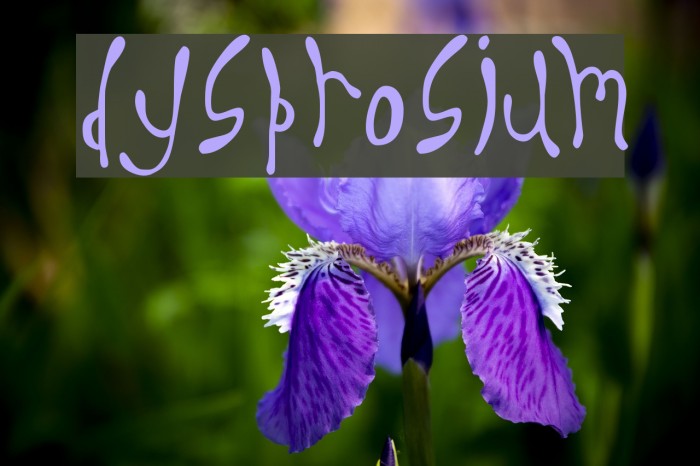 Dysprosium Font examples