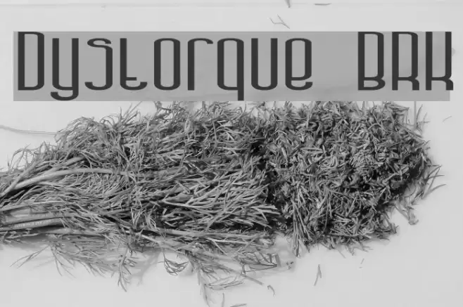Dystorque BRK Font examples