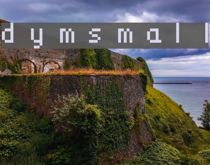 dymsmall Font examples