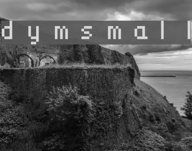 dymsmall Example 1