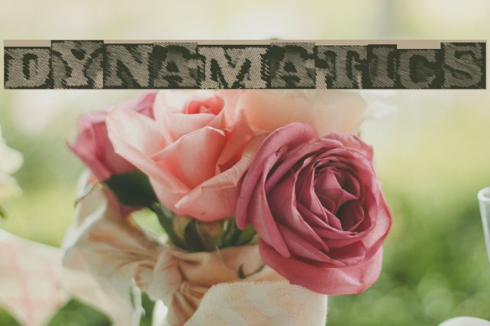 dynamatics Font examples