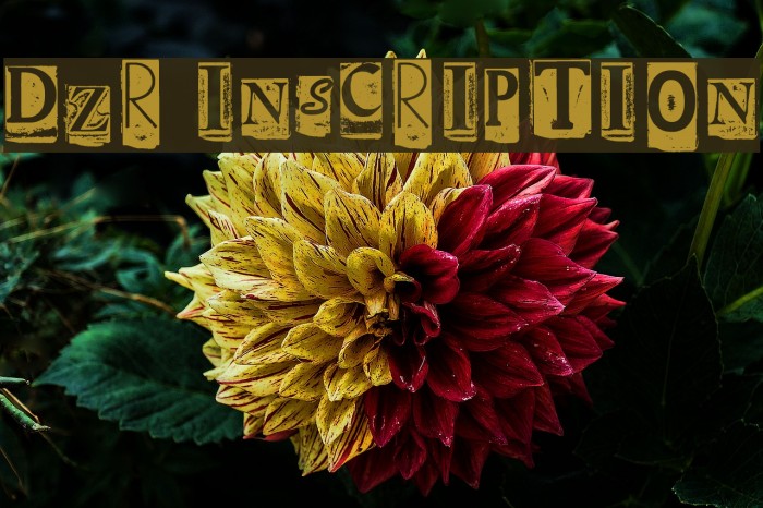 DZR INSCRIPTION Font examples