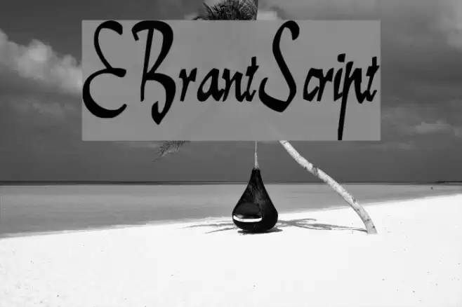 E-BrantScript Font examples