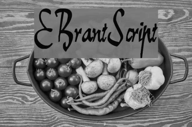 E-BrantScript Font examples