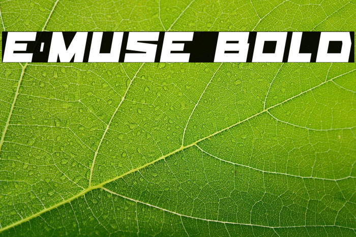 E-Muse Bold Example 1