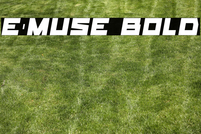 E-Muse Bold Example 3