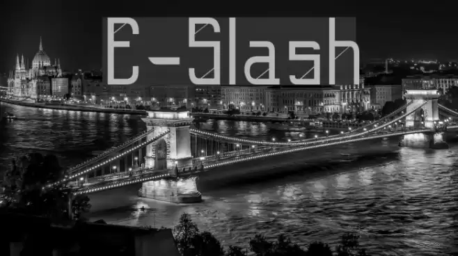 E-Slash Polices examples