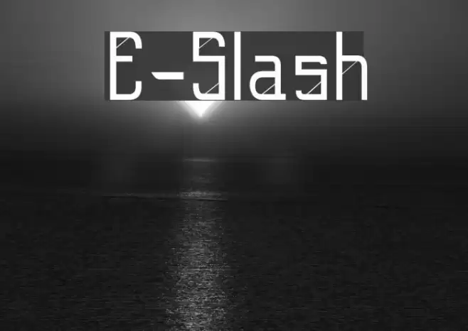 E-Slash Polices examples