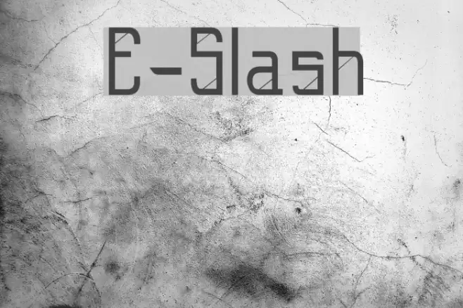 E-Slash Polices examples