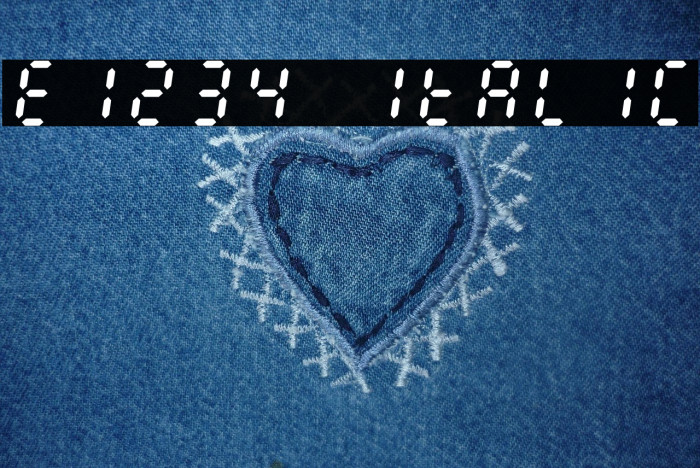 E1234 Italic Example 1