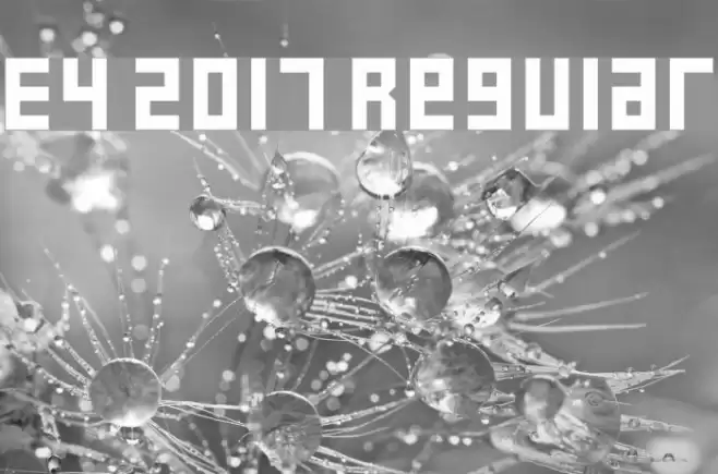 E4 2017 Regular Font examples
