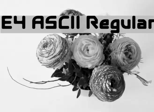 E4 ASCII Regular Font examples