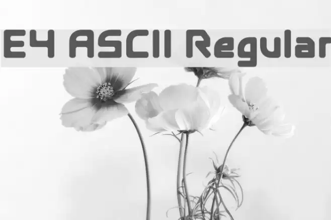 E4 ASCII Regular Font examples