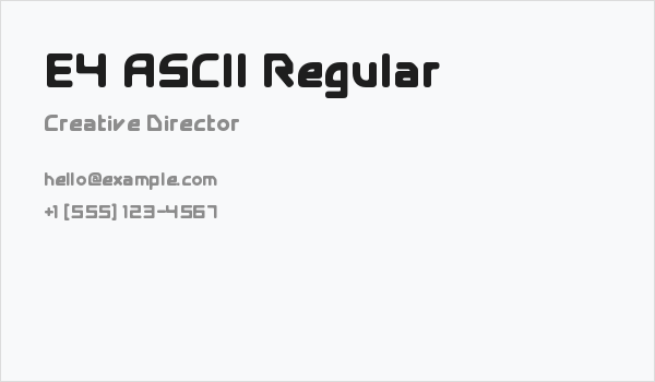 E4 ASCII Regular Business Card
