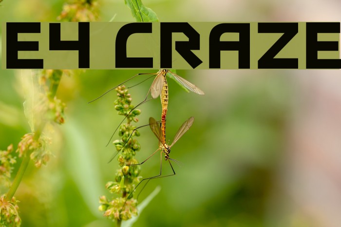 E4 Craze Font examples