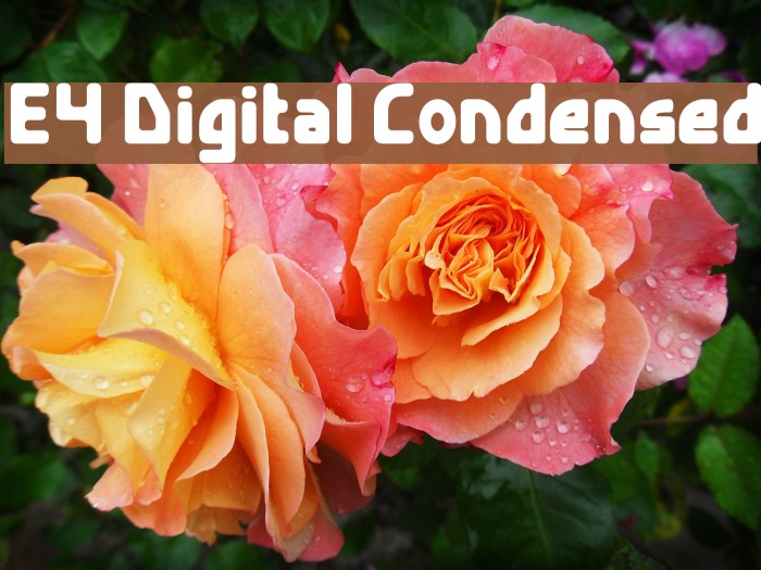 E4 Digital Condensed Font examples