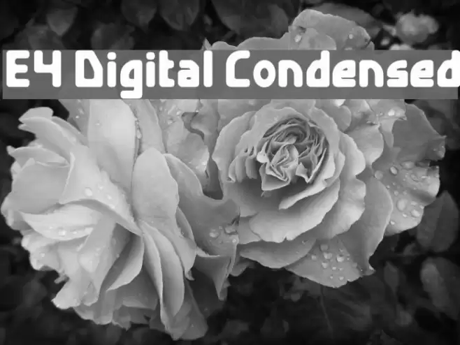 E4 Digital Condensed フォント examples