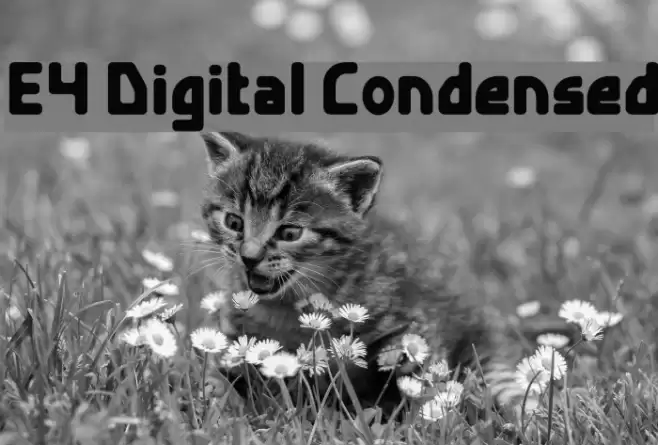 E4 Digital Condensed フォント examples