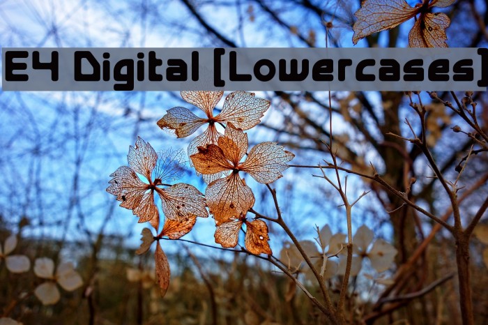 E4 Digital [Lowercases] Example 1