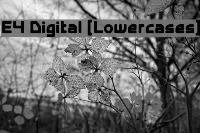 E4 Digital [Lowercases] Font examples