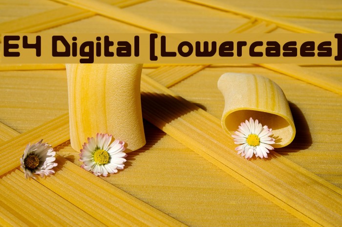 E4 Digital [Lowercases] Example 3