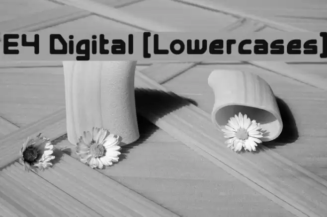 E4 Digital [Lowercases] Font examples