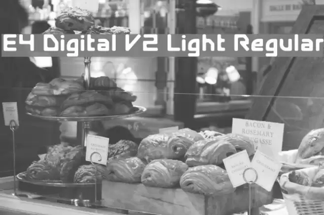 E4 Digital V2 Light Regular フォント examples