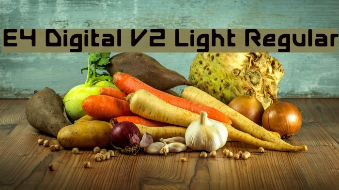 E4 Digital V2 Light Regular フォント examples
