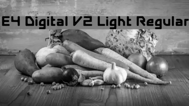 E4 Digital V2 Light Regular フォント examples
