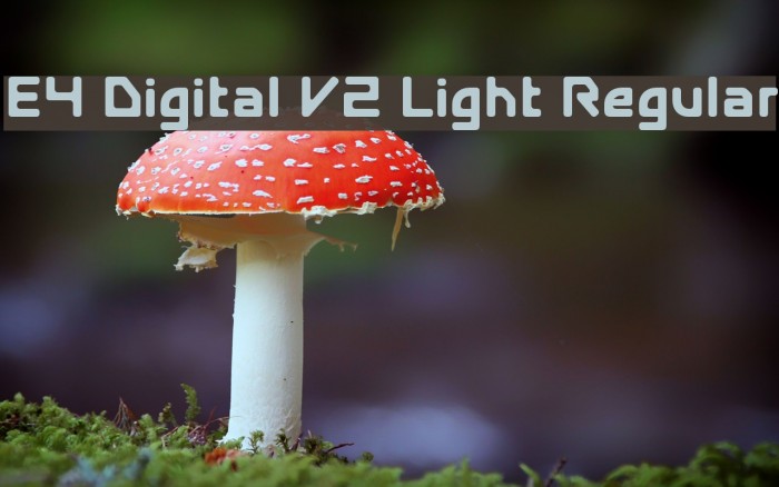 E4 Digital V2 Light Regular フォント examples