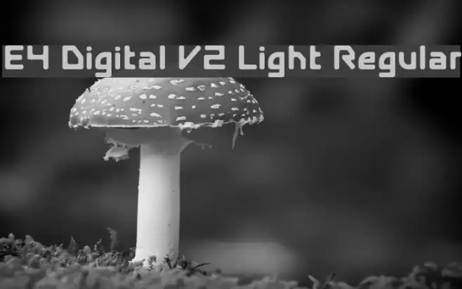 E4 Digital V2 Light Regular フォント examples