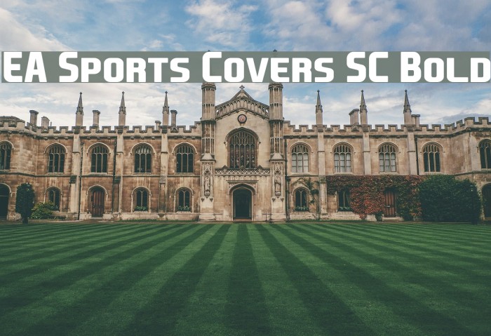 EA Sports Covers SC Bold Polices examples