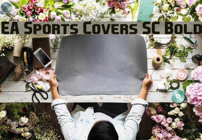 EA Sports Covers SC Bold Polices examples