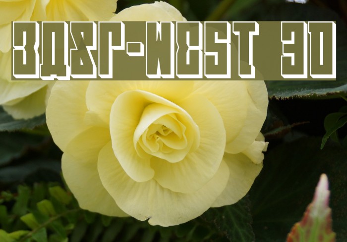 EAST-west 3D Example 2