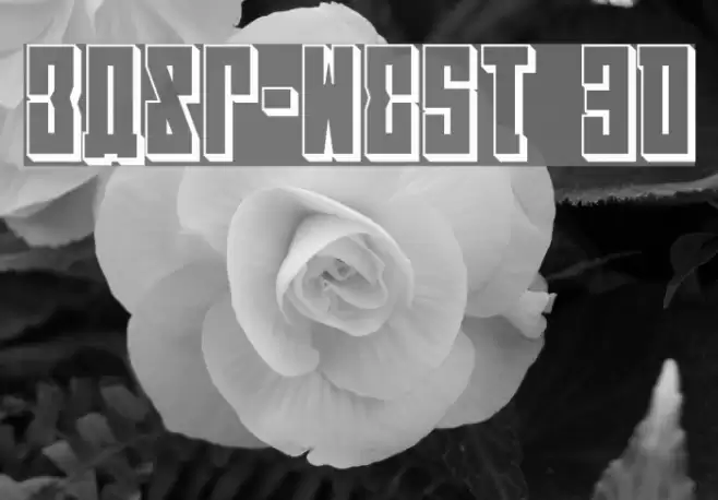 EAST-west 3D Font examples