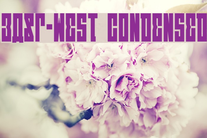 EAST-west Condensed Font examples