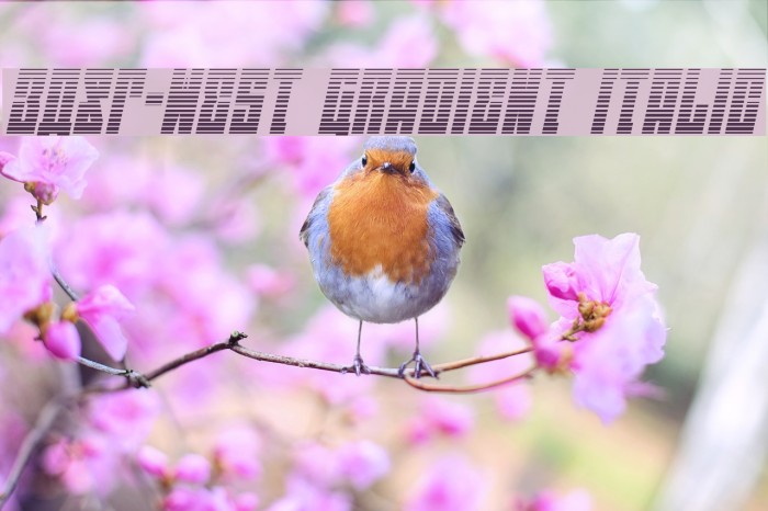 EAST-west Gradient Italic Example 3