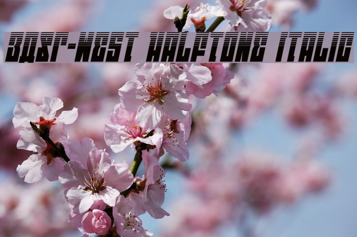 EAST-west Halftone Italic Font examples