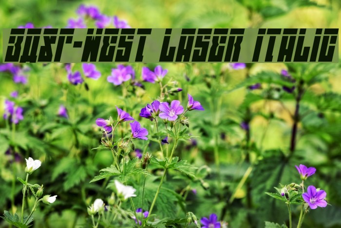 EAST-west Laser Italic Font examples
