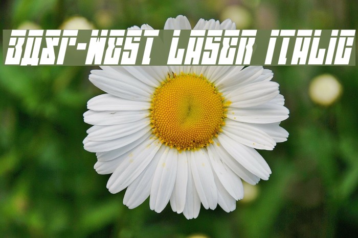 EAST-west Laser Italic Font examples