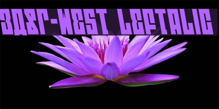 EAST-west Leftalic Font examples