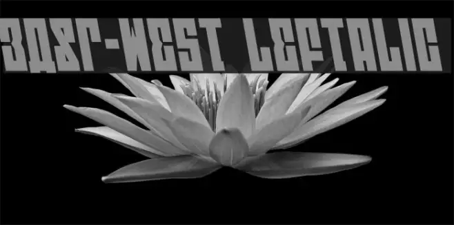 EAST-west Leftalic Example 3