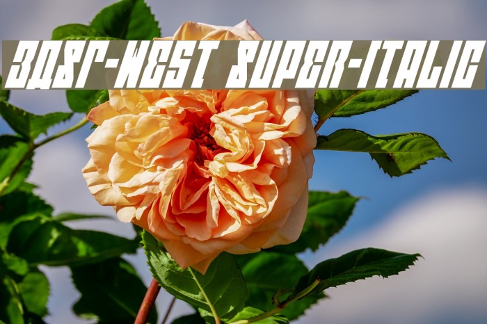 EAST-west Super-Italic Font examples