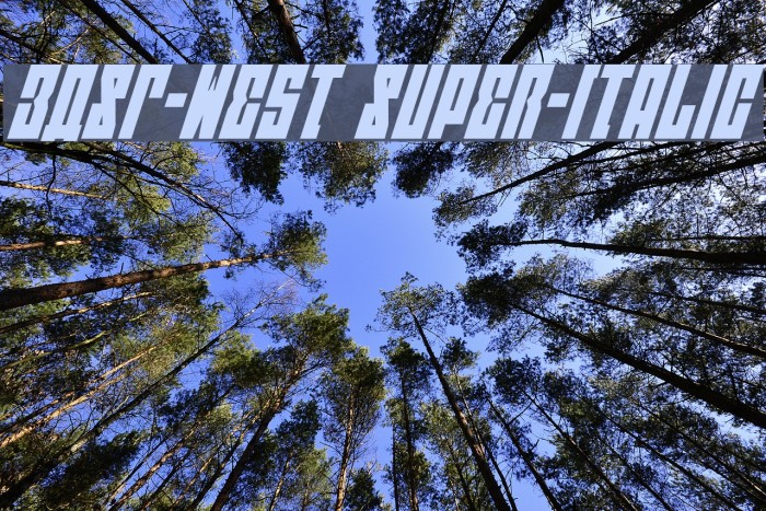 EAST-west Super-Italic Font examples