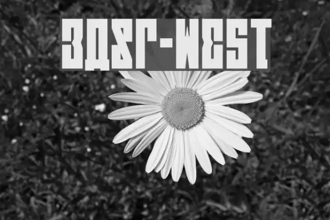 EAST-west Font examples