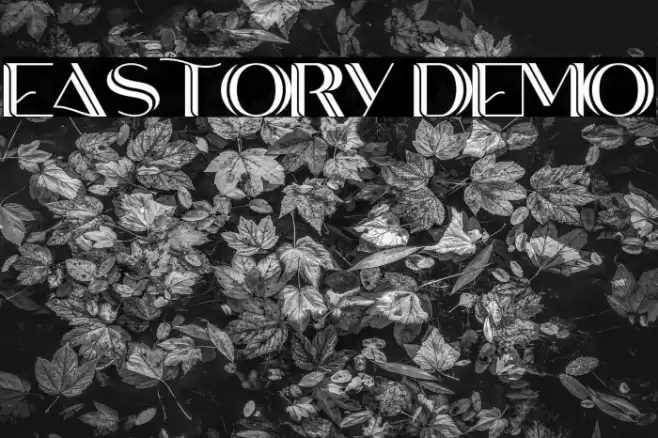 EASTORY DEMO خط examples