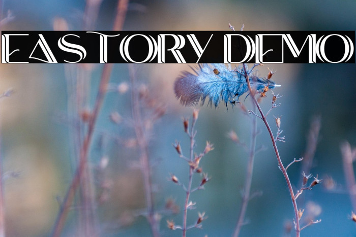 EASTORY DEMO Example 3