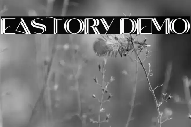 EASTORY DEMO خط examples