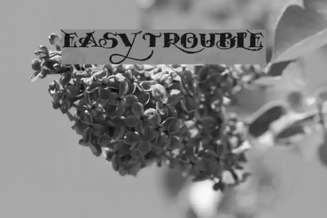 EASY TROUBLE Font examples