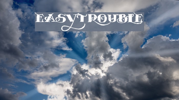 EASYTROUBLE Example 2